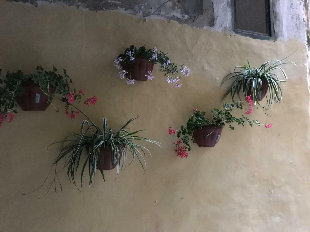 Chez Lumiere Villa Salerno Buitenkant foto